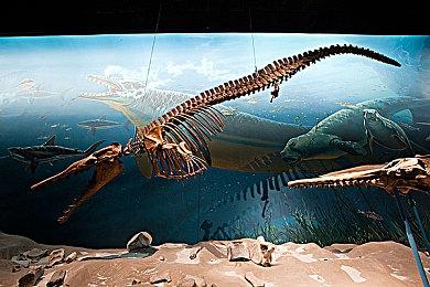 剧情驱动RPG《电气马戏团》面向全平台公布